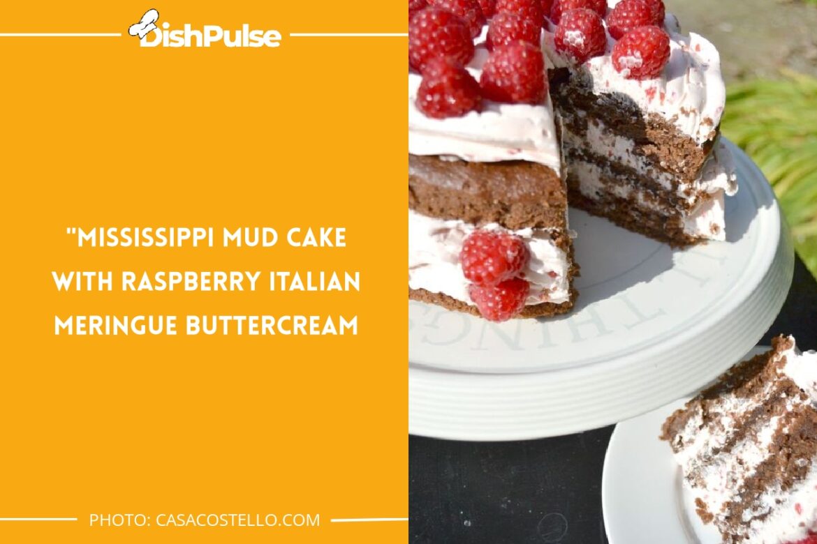 9 Best Mississippi Mud Cake Recipes for Every Chocolate Lover's Delight