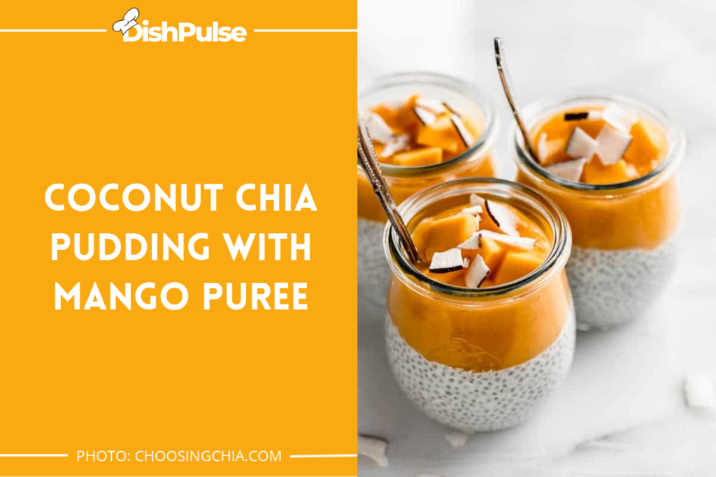 Coconut Chia Pudding with Mango Puree