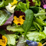 Spring Salad Recipe