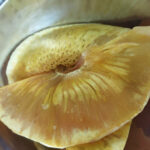 Breadfruit Chips Recipe