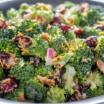 Broccoli with Dried Cranberries Salad Recipe