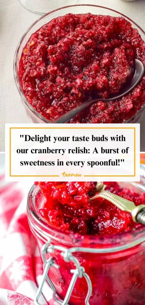 20 Savory Cranberry Relish to Try at Home