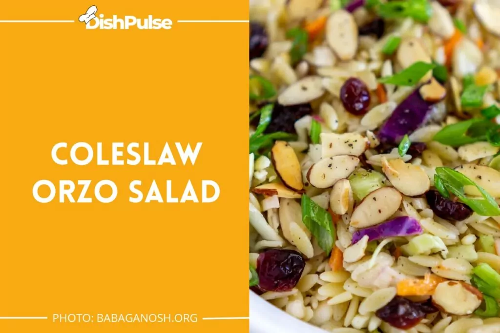Coleslaw Orzo Salad