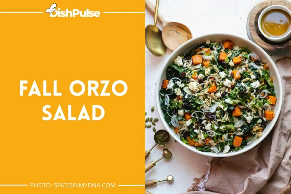 Fall Orzo Salad