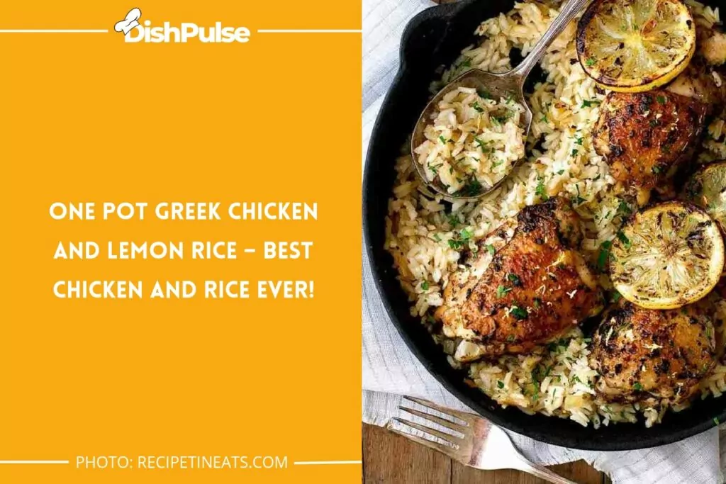 One Pot Greek Chicken and Lemon Rice – Best Chicken and Rice Ever!