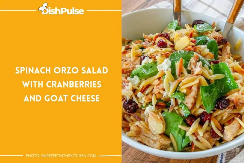 Spinach Orzo Salad with Cranberries and Goat Cheese