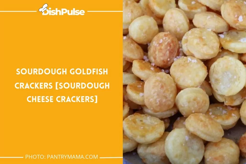 Sourdough Goldfish Crackers [Sourdough Cheese Crackers]
