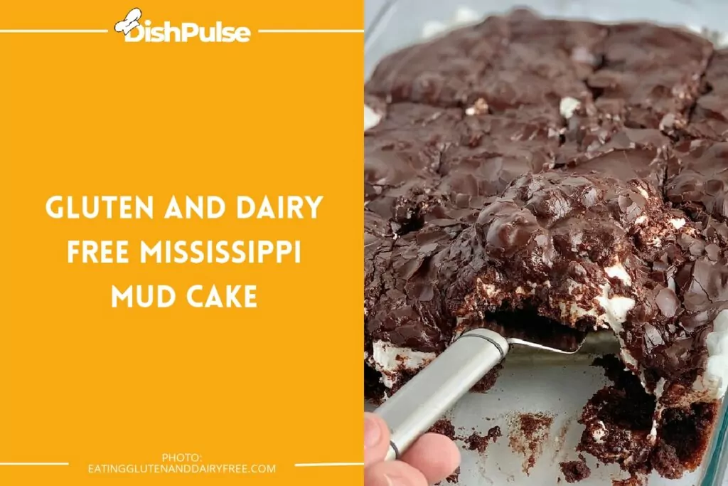 Gluten and Dairy-Free Mississippi Mud Cake