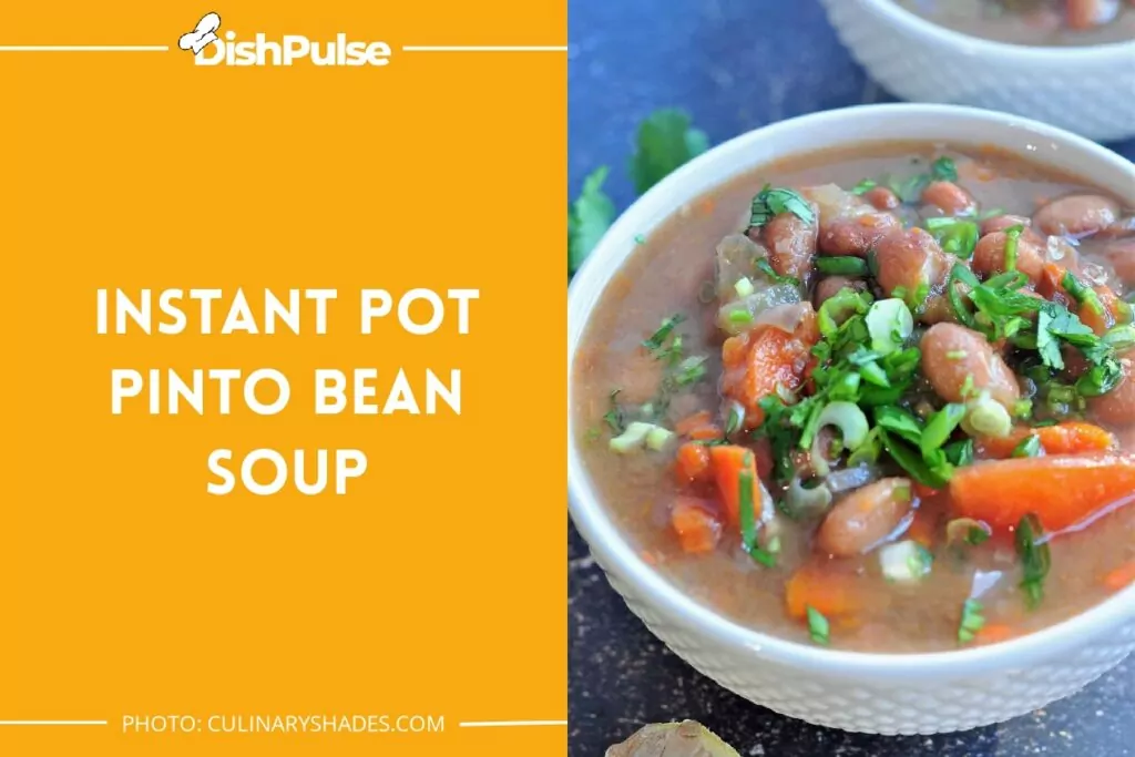 Instant Pot Pinto Bean Soup