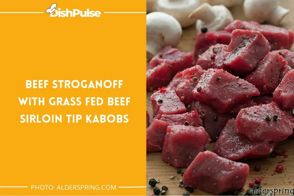 Beef Stroganoff with Grass Fed Beef Sirloin Tip Kabobs
