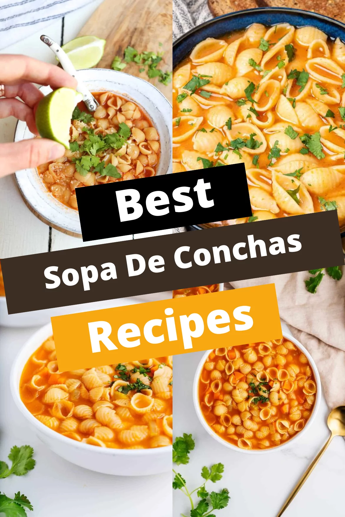 Sopa De Conchas