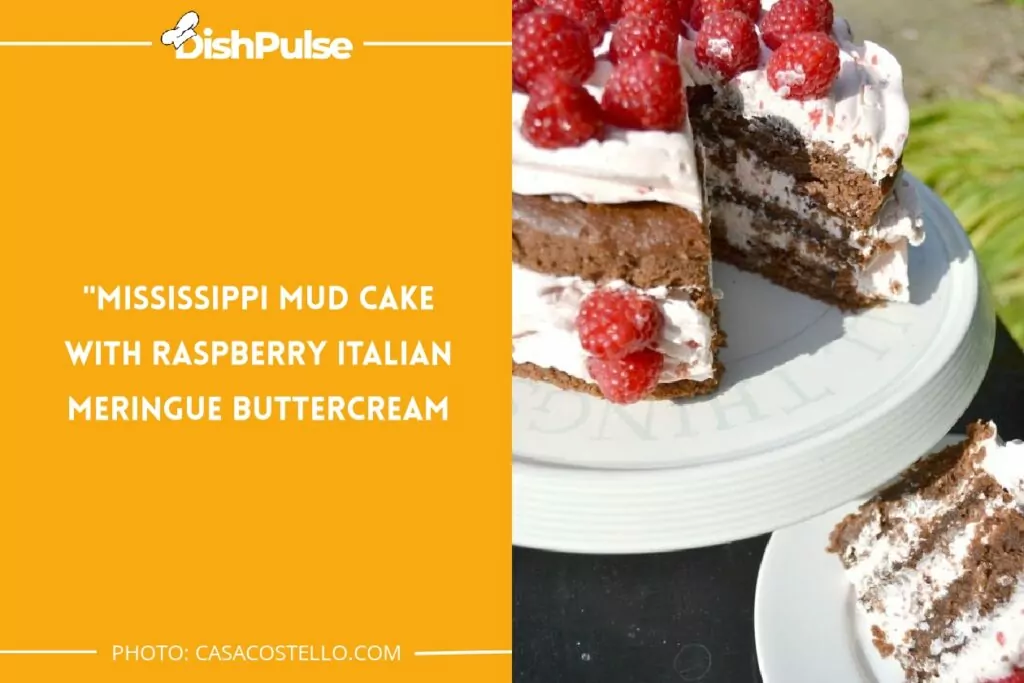 Mississippi Mud Cake with Raspberry Italian Meringue Buttercream