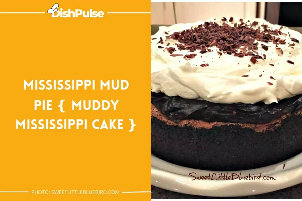 Mississippi Mud Pie { Muddy Mississippi Cake }