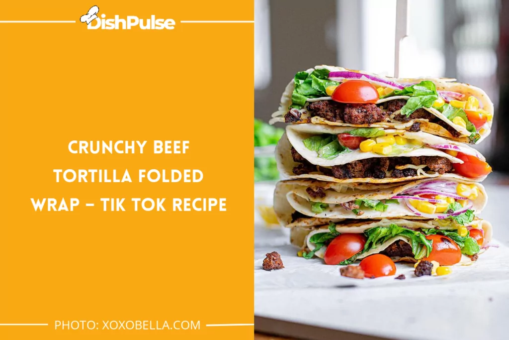 Crunchy Beef Tortilla Folded Wrap – Tik Tok Recipe