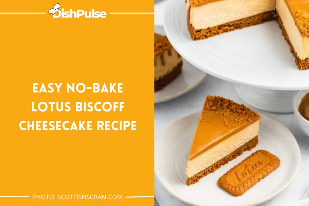 Easy No-bake Lotus Biscoff Cheesecake Recipe