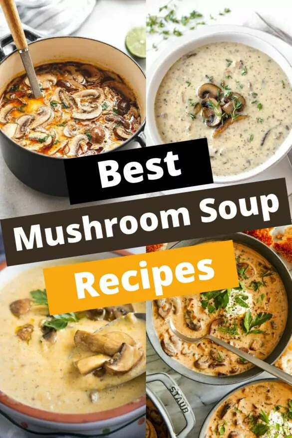 Mushroom Soup