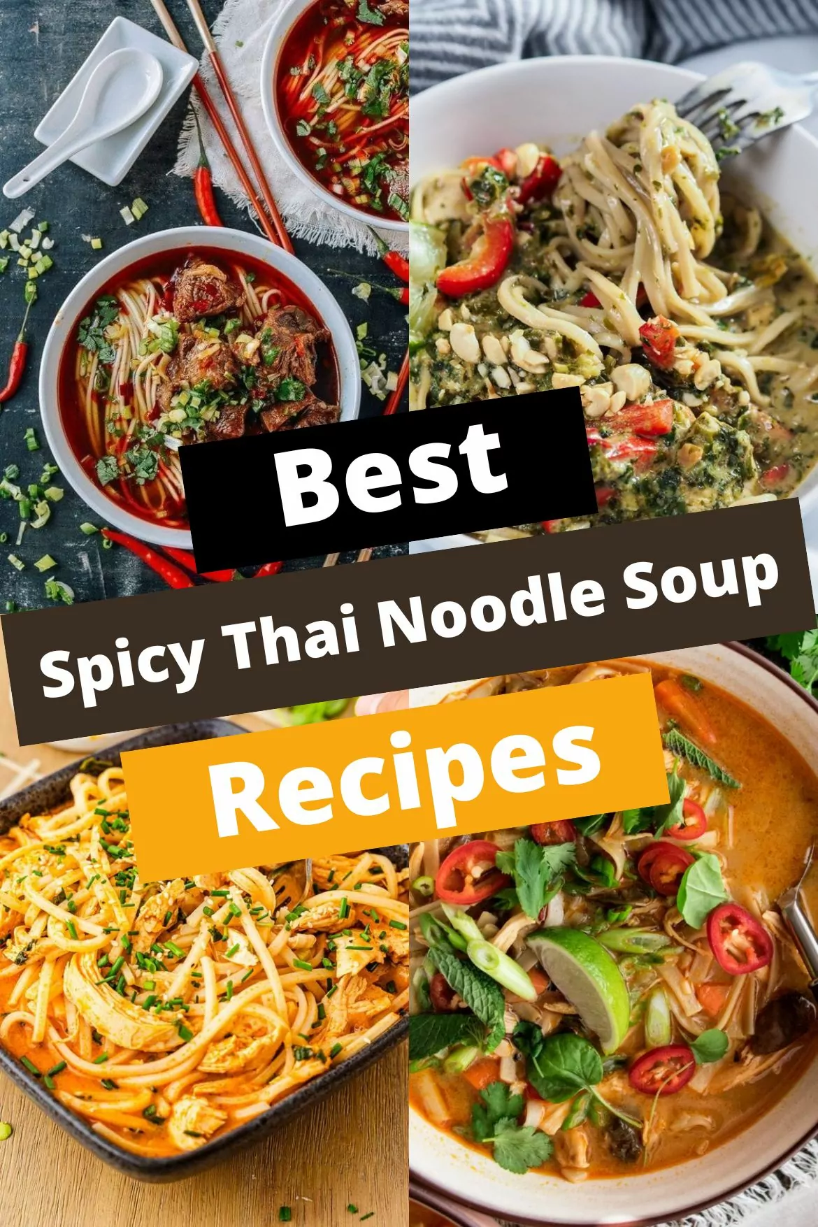 Spicy Thai Noodle Soup