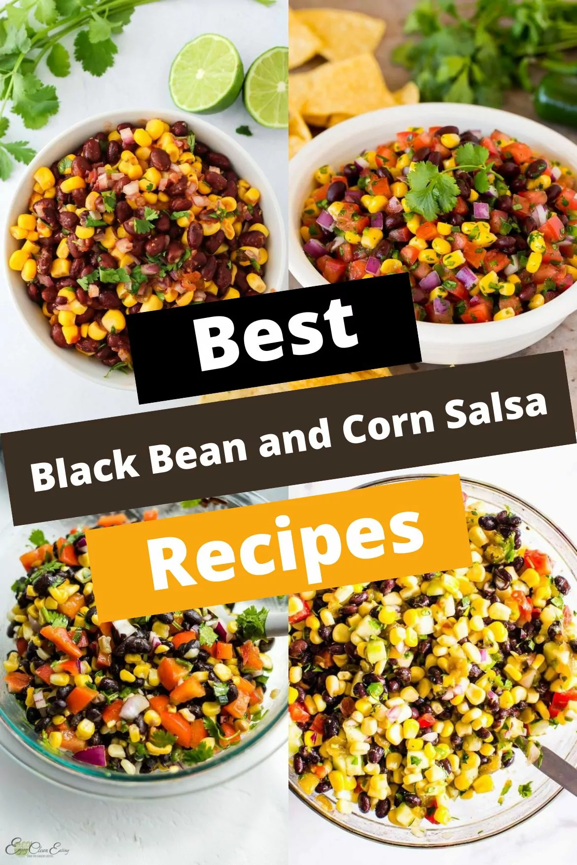 Black Bean and Corn Salsa
