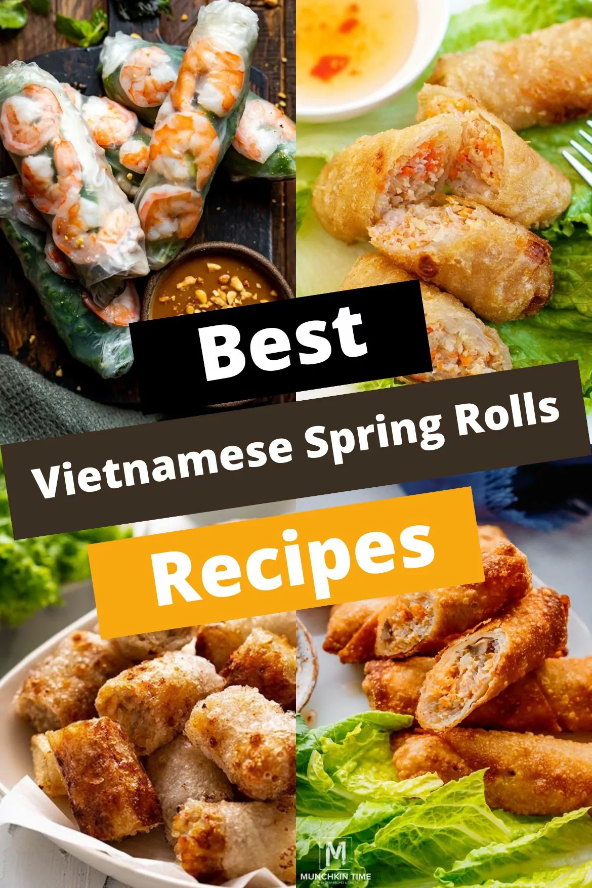 Vietnamese Spring Rolls