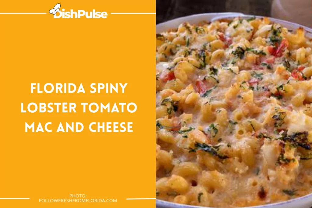 Florida Spiny Lobster Tomato Mac and Cheese