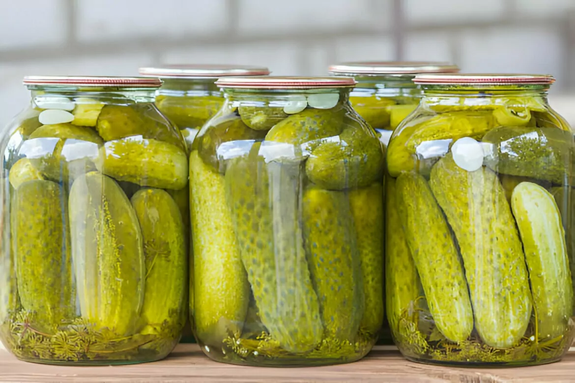 Dill Pickles Recipe